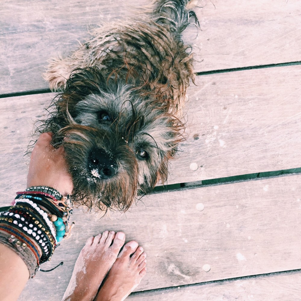 Processed with VSCOcam with c1 preset